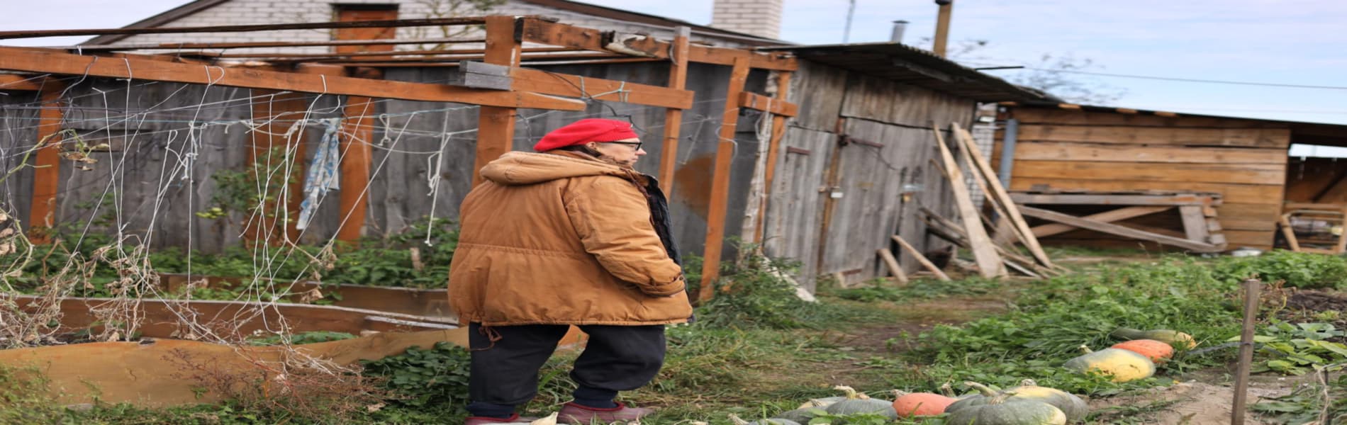 дачный сад осенью