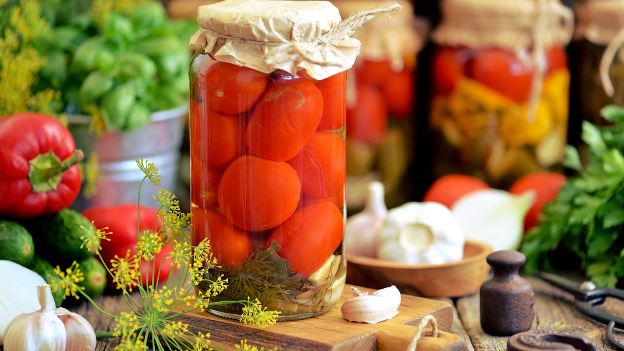 маринованные помидоры с укропом