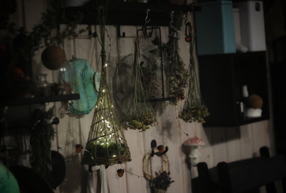 dzen.ru/zhivye_veshchi