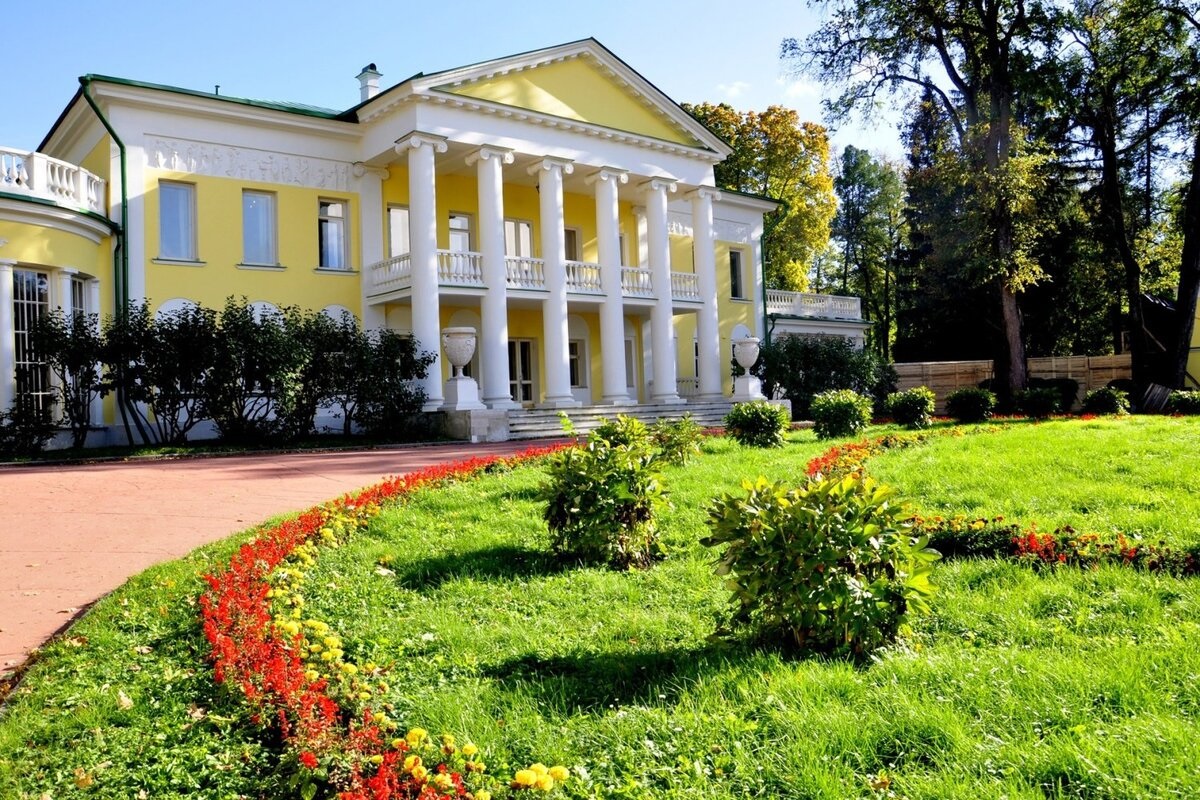Фото: dzen.ru
