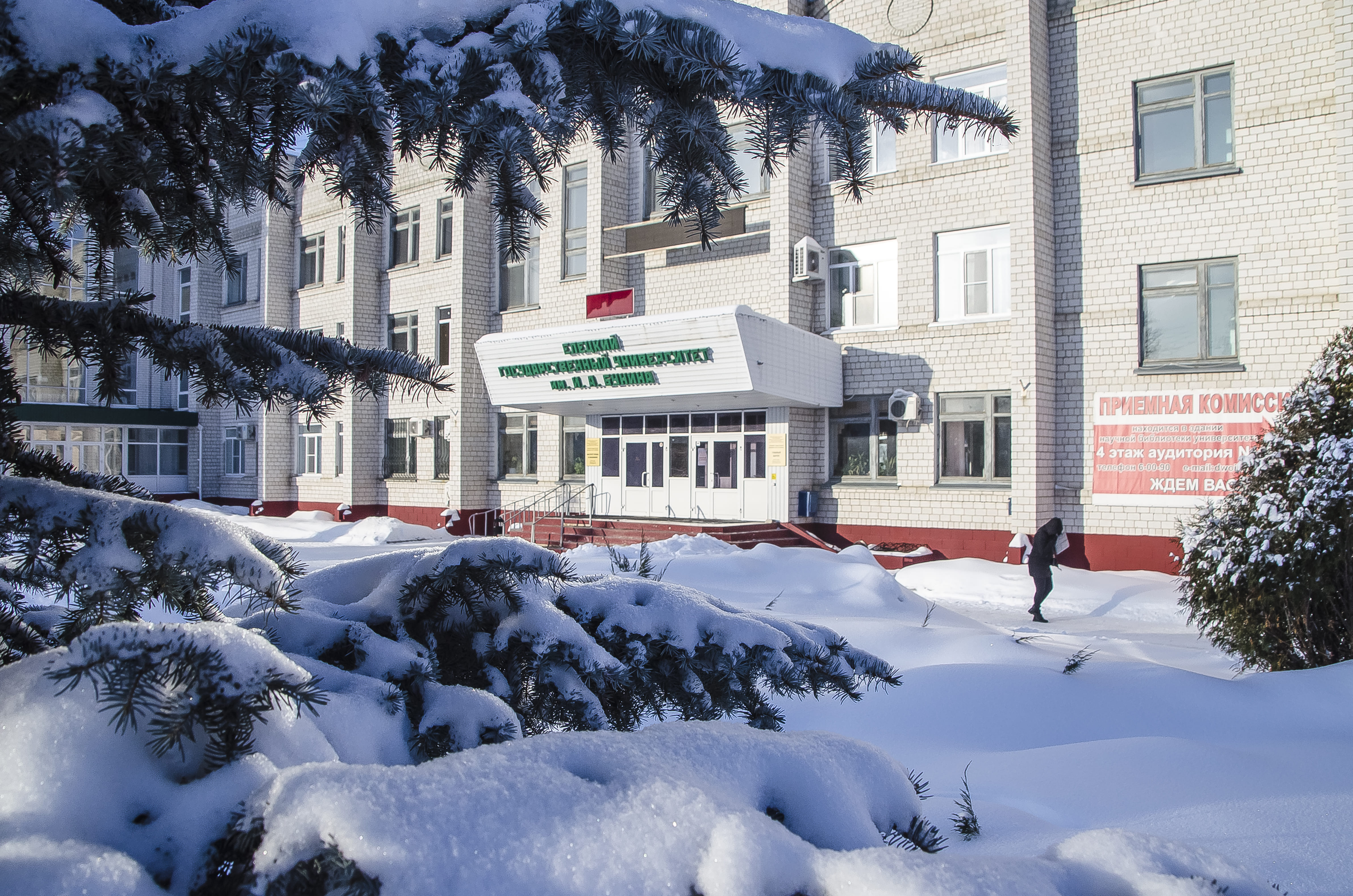 elsu.ru