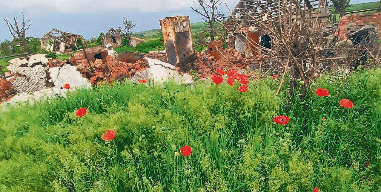 Фото, присланное автору из серой зоны