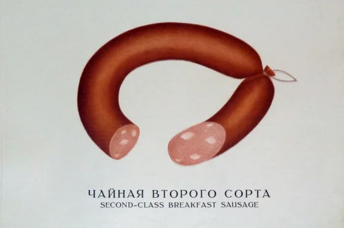 Фотографии из иллюстрированного альбома