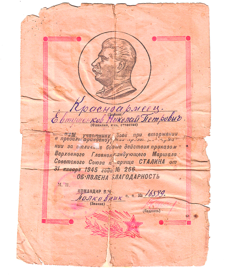 Благодарность Верховного главнокомандующего