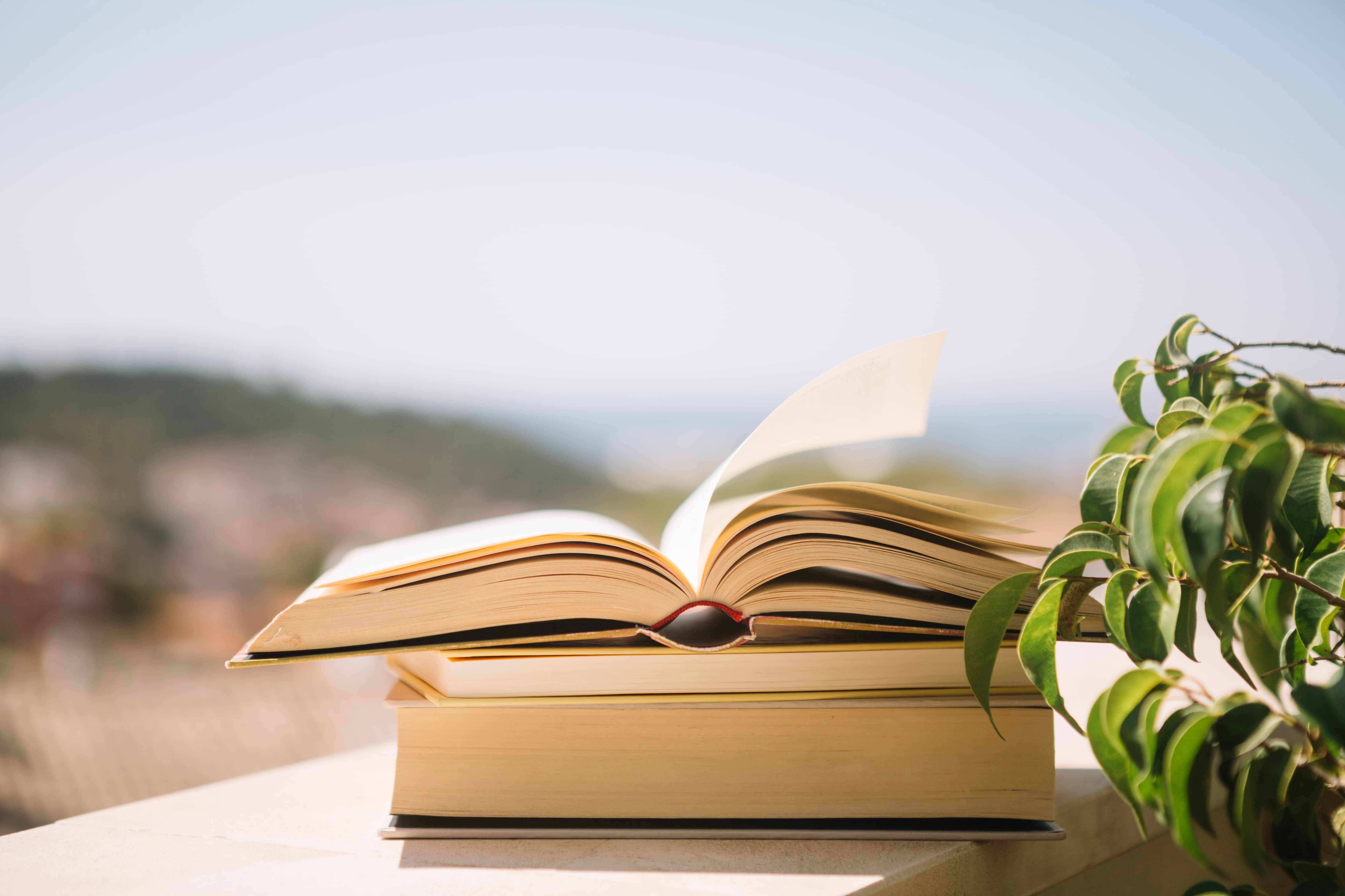 раскрытая книга
