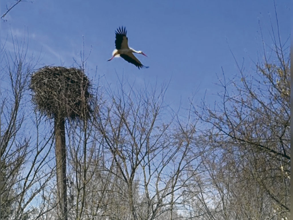 Жизнь над заражённой территорией