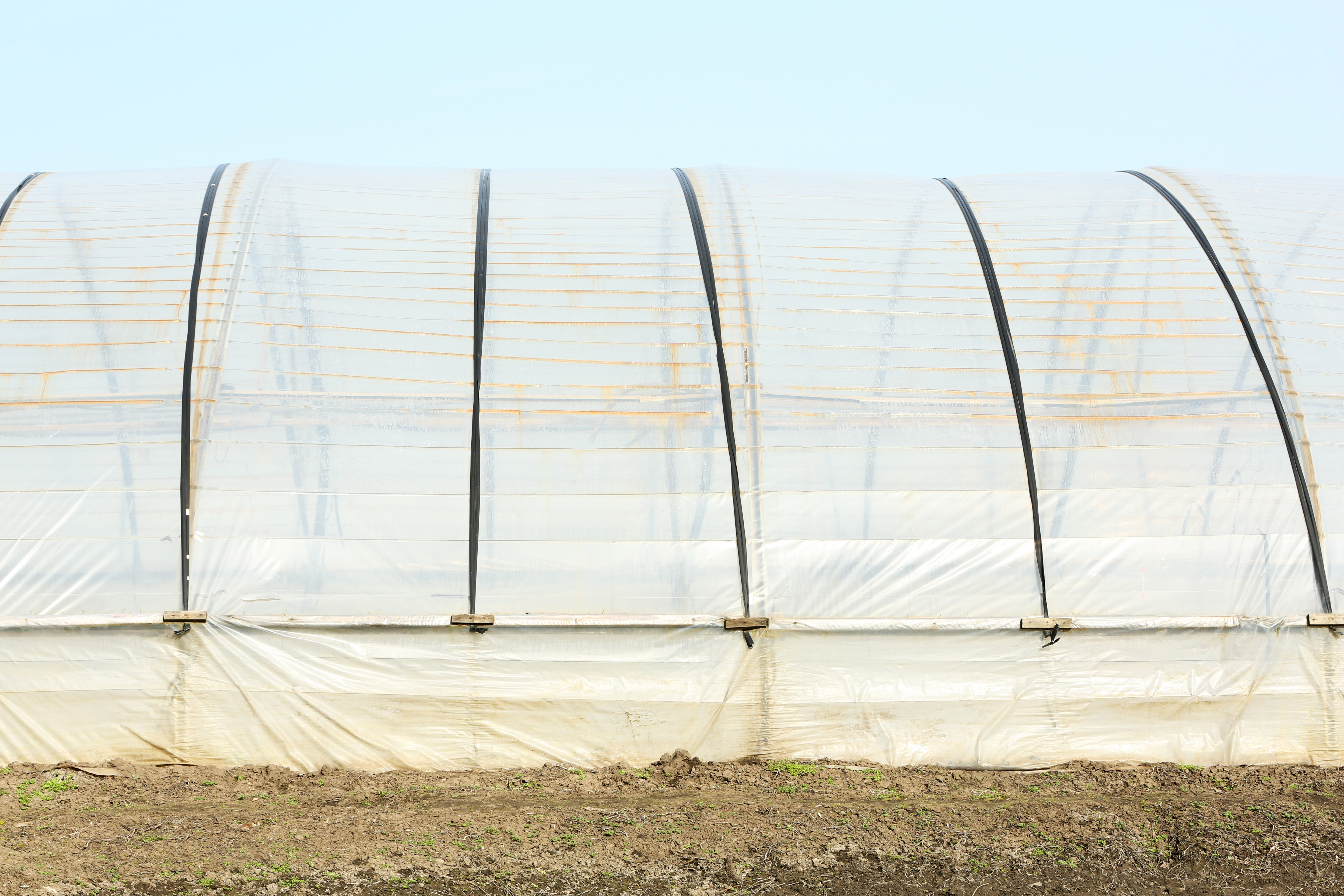 Greenhouses at farm