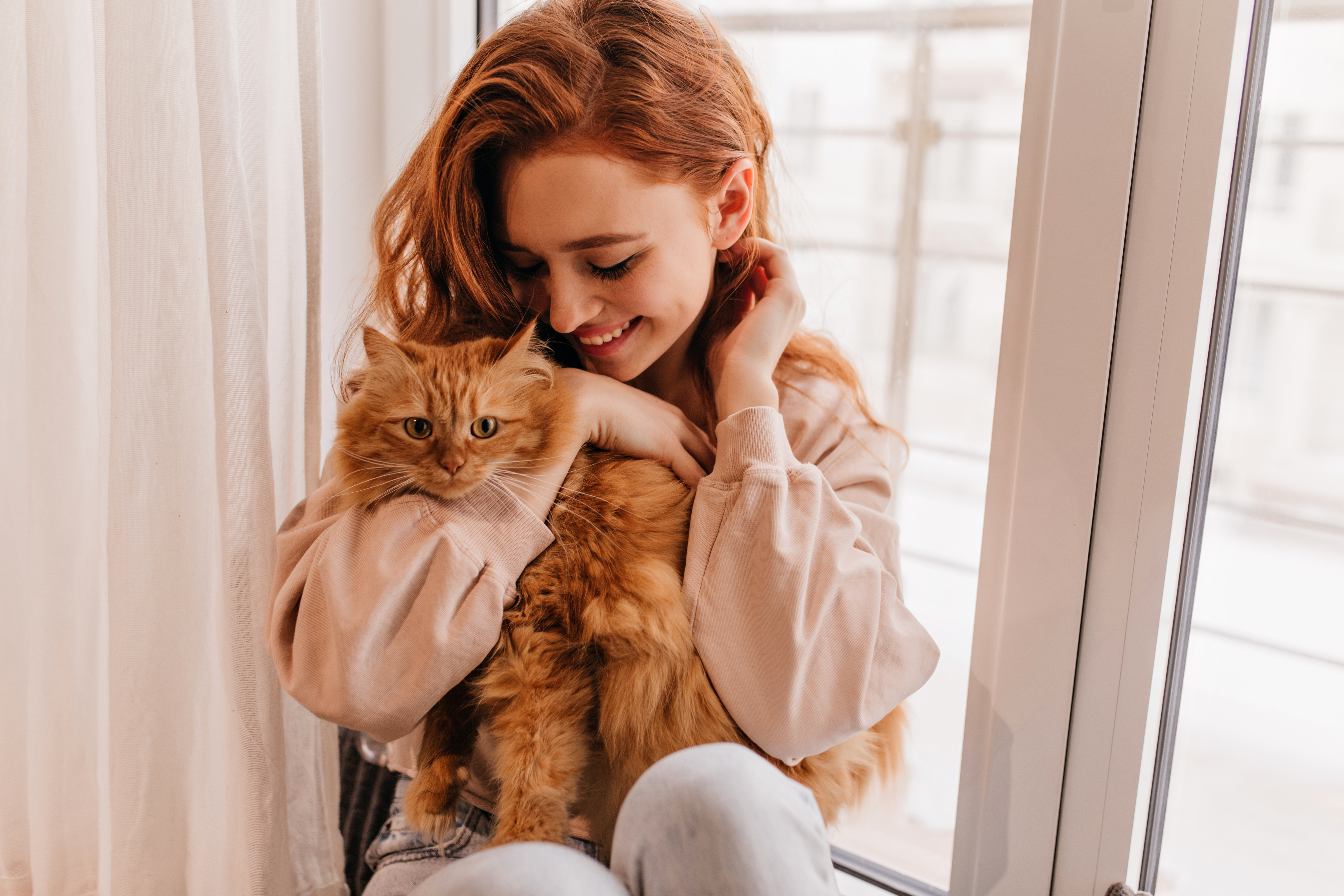 кошка обнимает хозяина