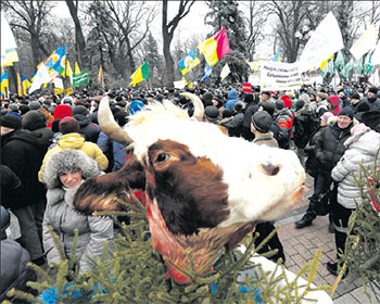 Акция протеста украинских фермеров у стен Верховной рады. 17 декабря 2015 г.