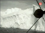 Кадр из фильма «Свободная Антарктида»